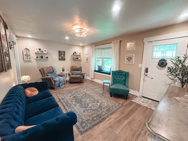 living room with wood-type flooring and a wealth of natural light