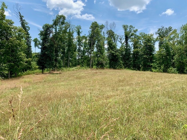 Listing photo 2 for 0 Back Bone Rd, Sparta TN 38583