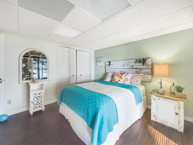 bedroom with a paneled ceiling, a closet, and hardwood / wood-style floors