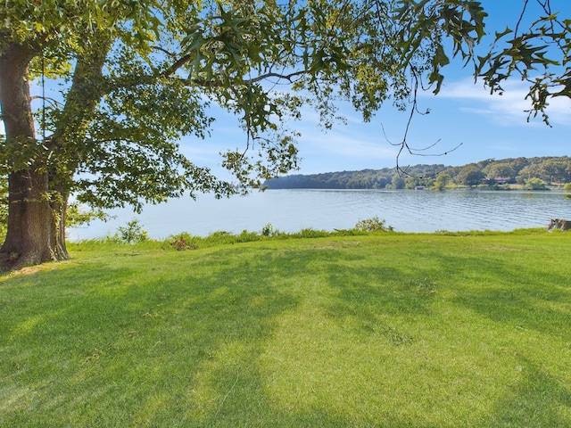 view of yard featuring a water view