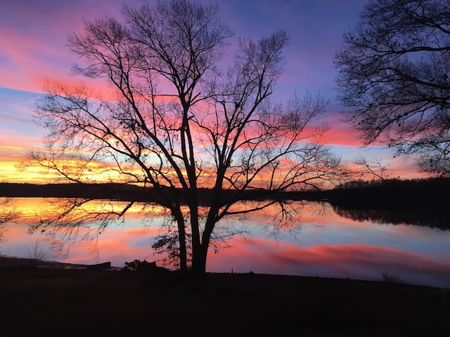 nature at dusk featuring a water view