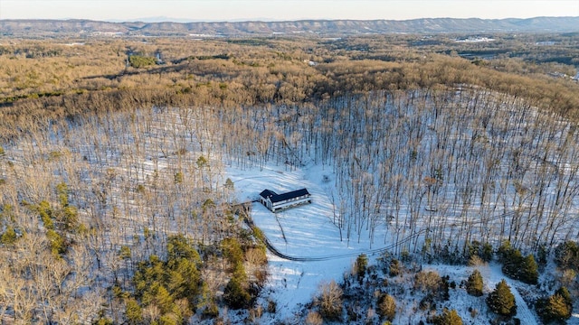 bird's eye view with a mountain view