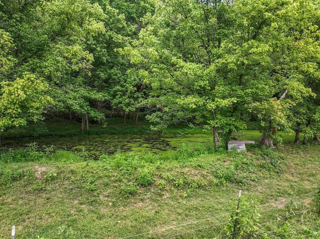 view of yard with a rural view