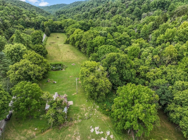 bird's eye view