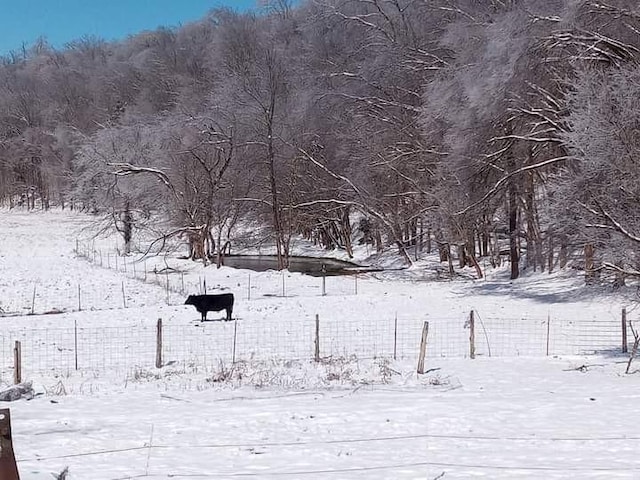 view of yard covered in snow