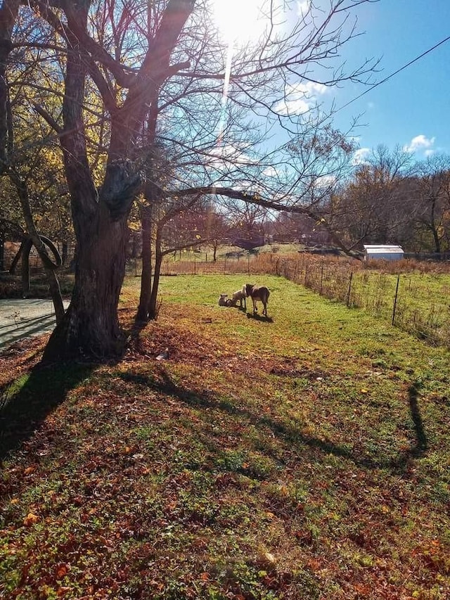 view of yard featuring a rural view