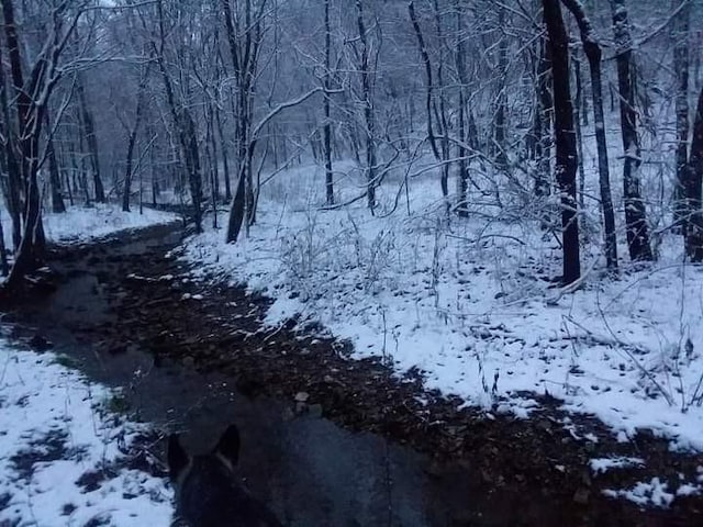 view of snow covered land