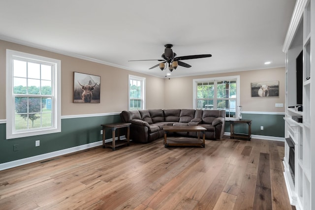 living room featuring light hardwood / wood-style floors, crown molding, and ceiling fan