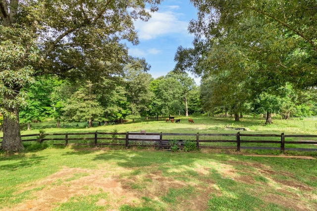 view of yard with a rural view