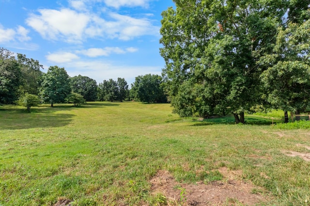 view of yard featuring a rural view