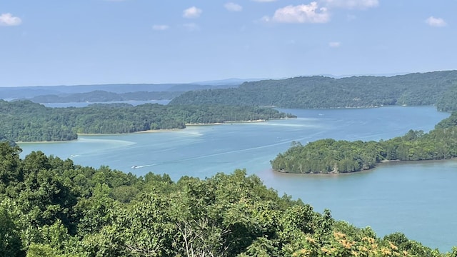 property view of water featuring a mountain view