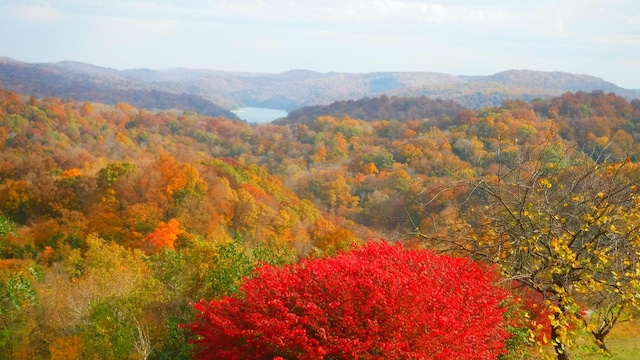 property view of mountains with a view of trees