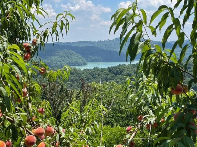 property view of mountains featuring a wooded view and a water view