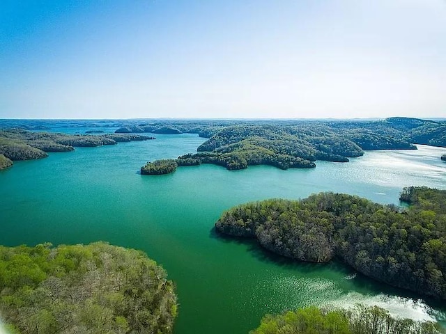 bird's eye view featuring a water view and a wooded view