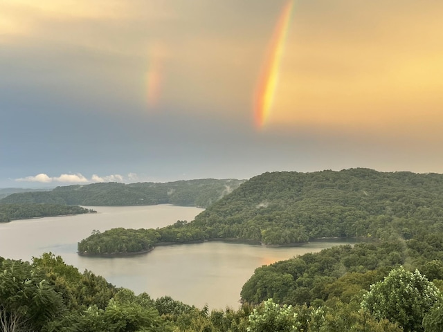 water view with a wooded view