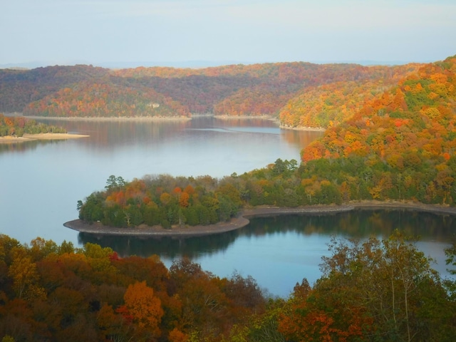 water view with a view of trees