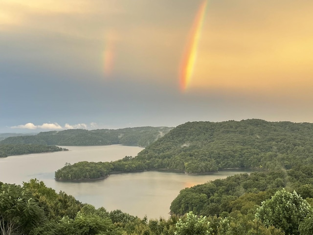 61 Brim Ln, Hilham, TN 38568 - water view with a view of trees