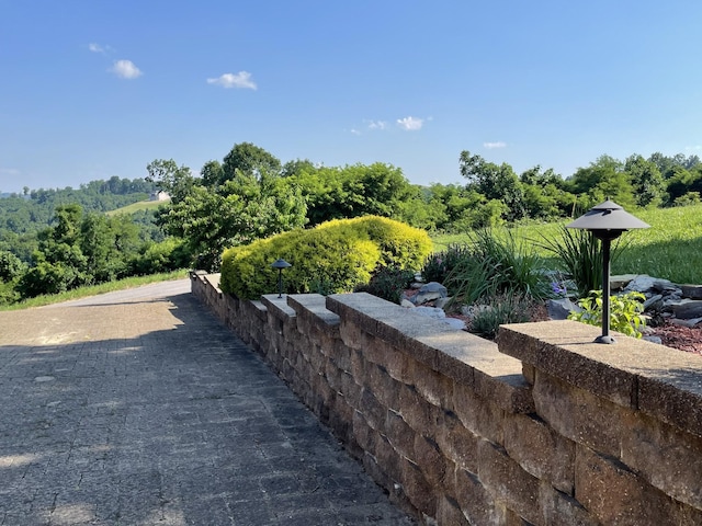61 Brim Ln, Hilham, TN 38568 - view of yard