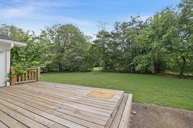 wooden deck featuring a yard