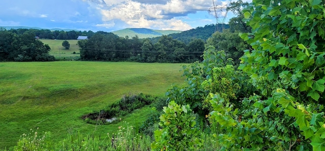 mountain view featuring a rural view