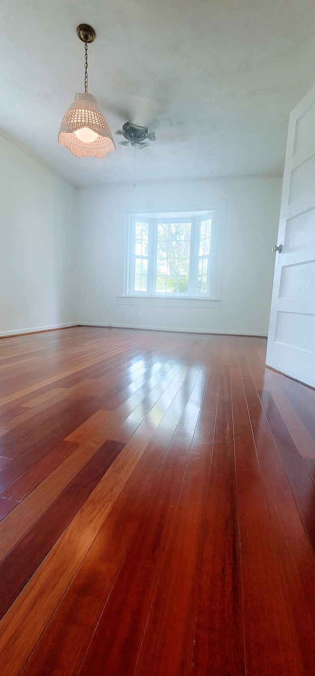 empty room with dark hardwood / wood-style floors