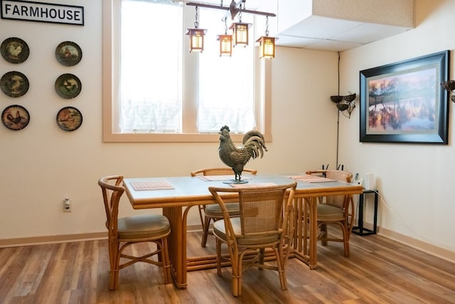 dining room with hardwood / wood-style flooring and a drop ceiling