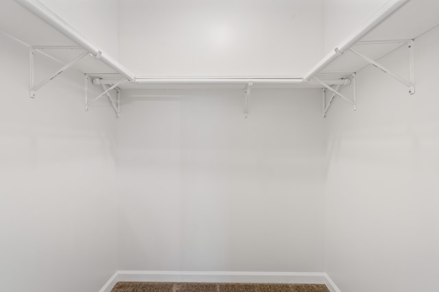 walk in closet featuring carpet flooring