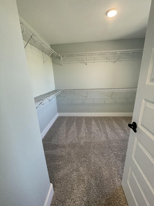 1056 Cherry Blossom Ln, Clarksville, TN 37040 - photo 63