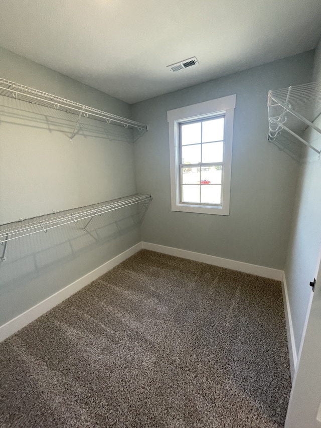 spacious closet with carpet