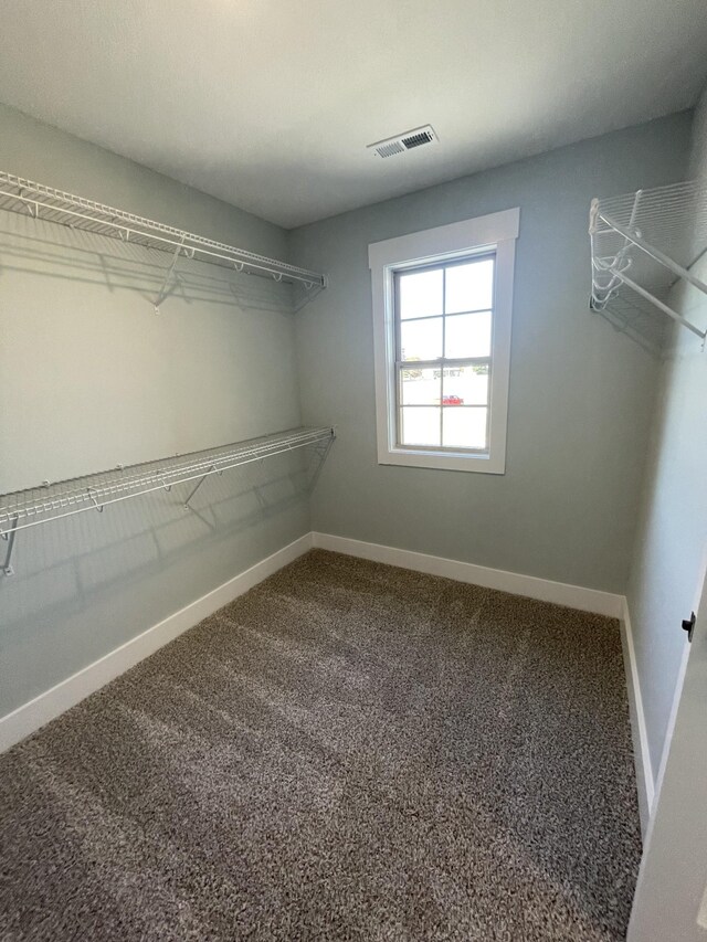 1056 Cherry Blossom Ln, Clarksville, TN 37040 - photo 64