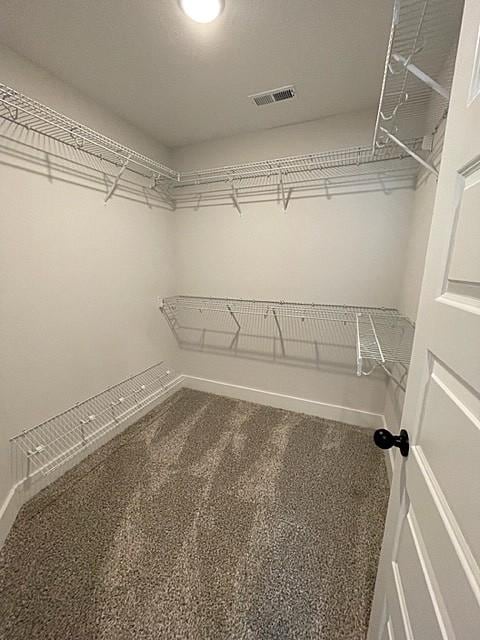 walk in closet featuring carpet floors