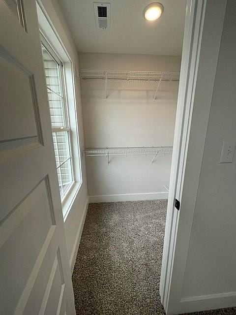 spacious closet featuring carpet floors