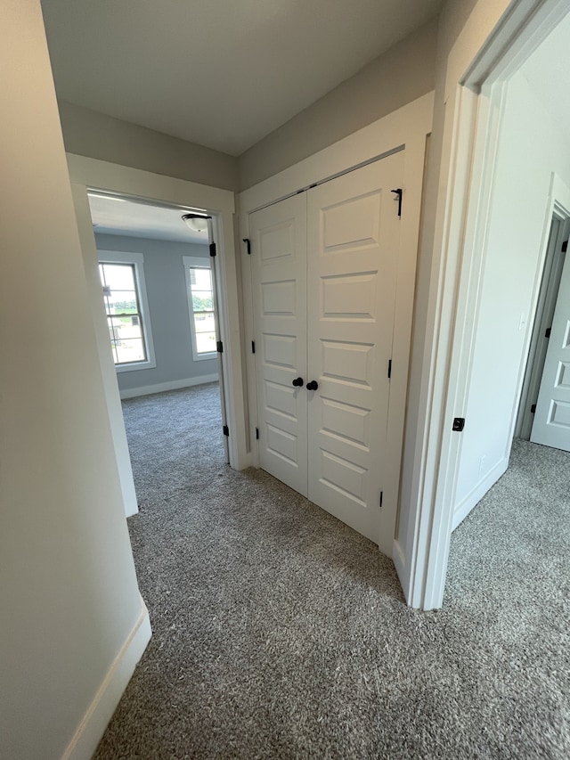 hall featuring carpet flooring