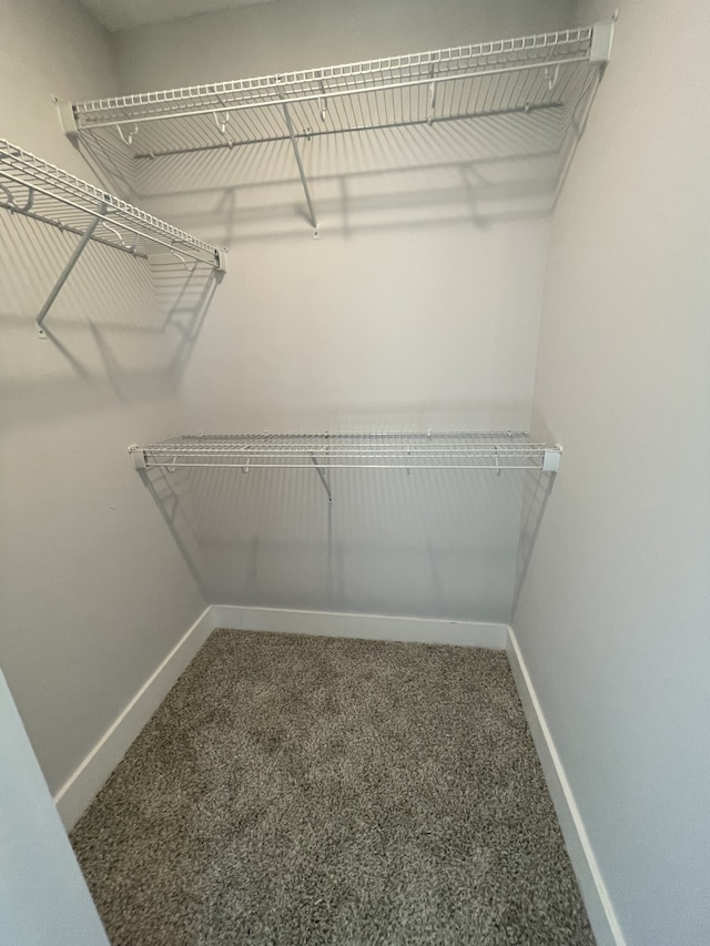 spacious closet with carpet flooring