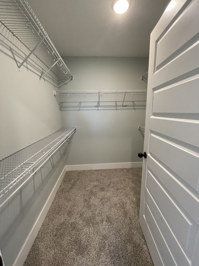 spacious closet with carpet