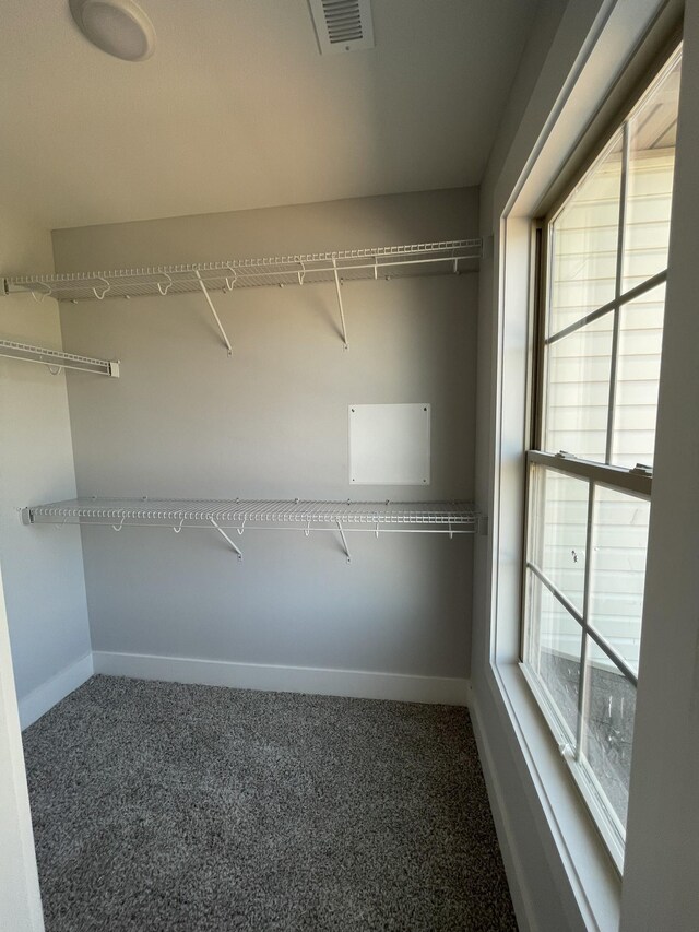 spacious closet with dark colored carpet