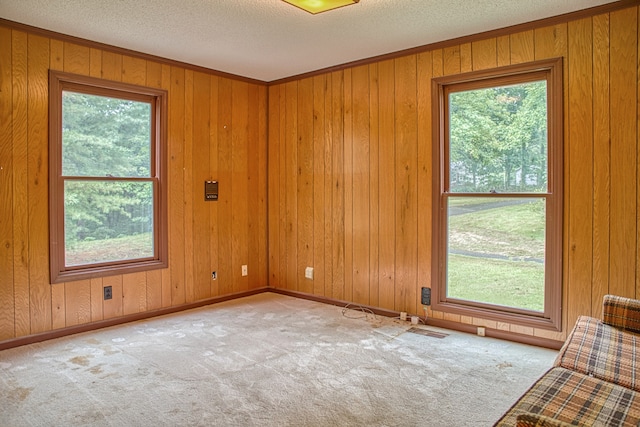 unfurnished room featuring a wealth of natural light, wooden walls, and light colored carpet