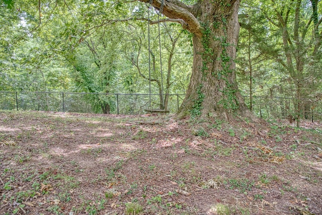 view of local wilderness