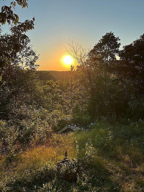 view of nature at dusk