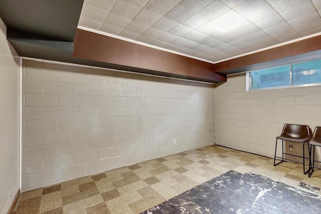 basement with light colored carpet