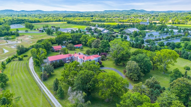 bird's eye view