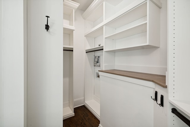 walk in closet with dark wood-type flooring