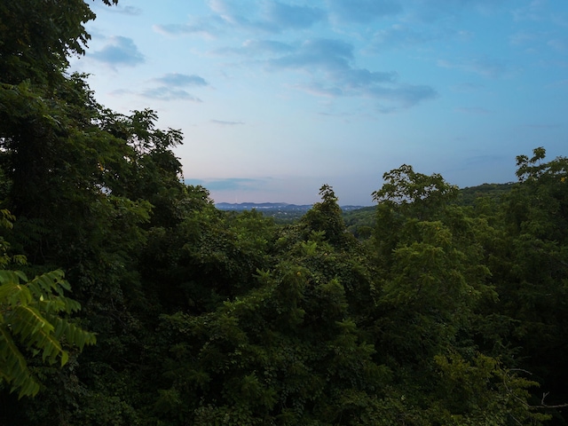 view of nature at dusk