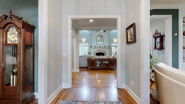 corridor featuring hardwood / wood-style floors and crown molding