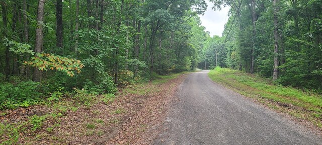 0 Deer Run Rd, Altamont TN, 37301 land for sale