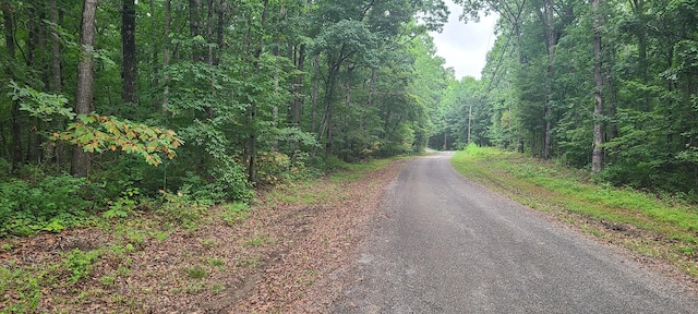 Listing photo 2 for 0 Deer Run Rd, Altamont TN 37301