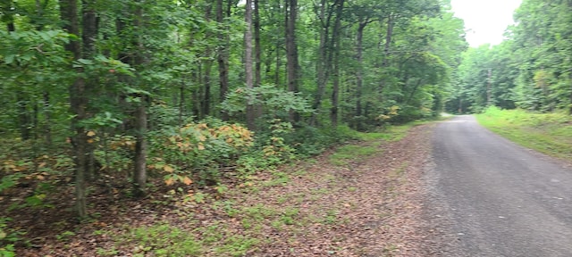 Listing photo 2 for 0 Deer Run Rd, Altamont TN 37301