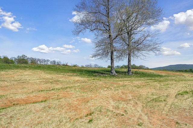 view of nature featuring a rural view