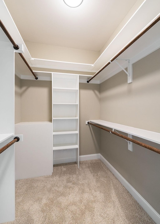 spacious closet with light carpet