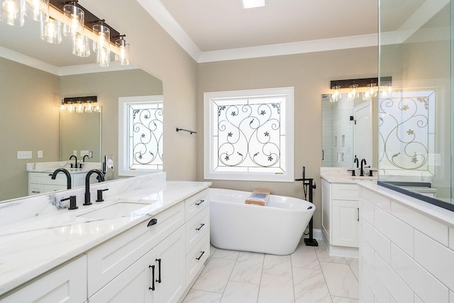 bathroom featuring a bathing tub, ornamental molding, and vanity